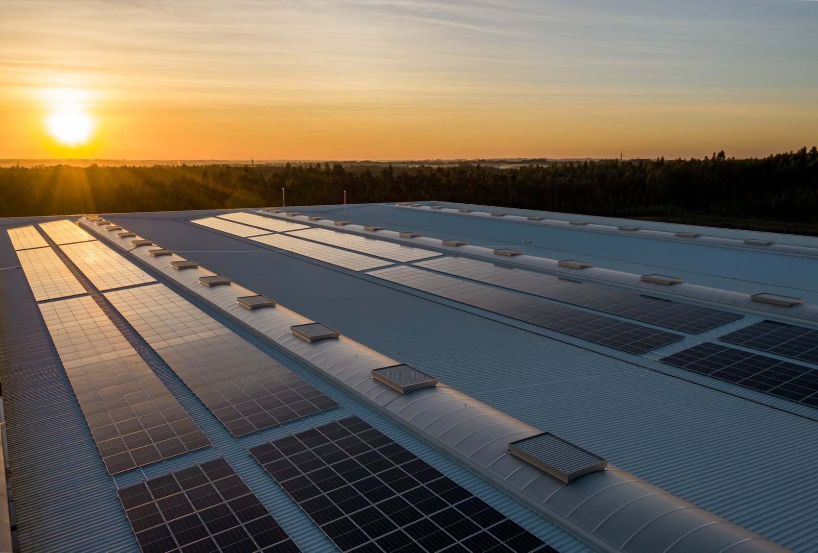 Paneles solares gratuitos en Argentina: cómo acceder al beneficio del gobierno